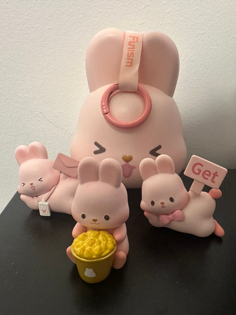 Momo Bunny's 24 Hour Lifestyle Miniature Series