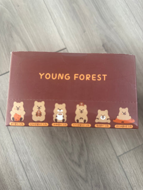 TDBF25 - Case of cute Quokka