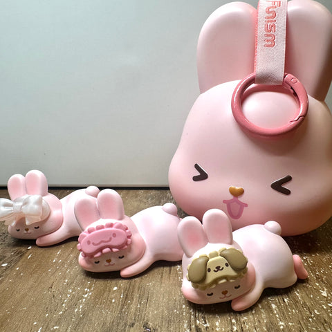 Momo Bunny's 24 Hour Lifestyle Miniature Series