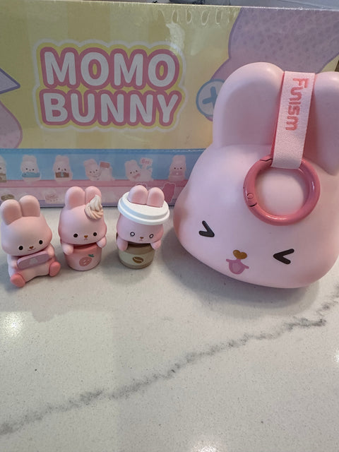 Momo Bunny's 24 Hour Lifestyle Miniature Series