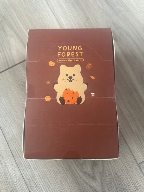 TDBF25 - Case of cute Quokka
