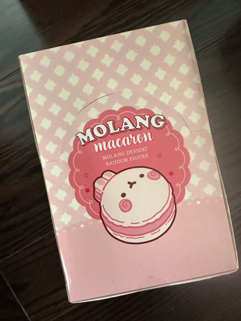ToyDonut 5th Anniversary Clearance - case of Molang macaroons
