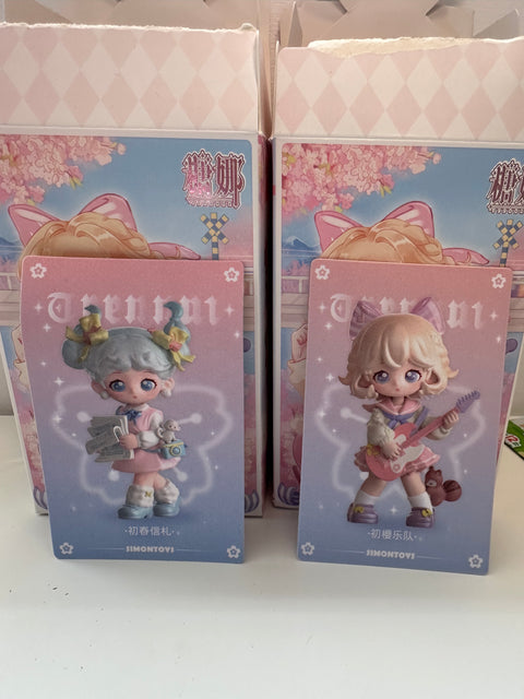 TDBF25 - Teennaire Lot