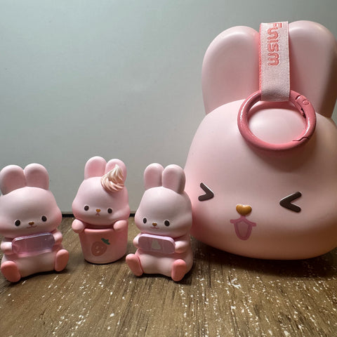 Momo Bunny's 24 Hour Lifestyle Miniature Series