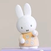 ChocoTeddy Miffy Holders Blind Box Series