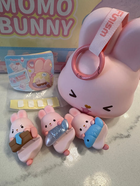 Momo Bunny's 24 Hour Lifestyle Miniature Series