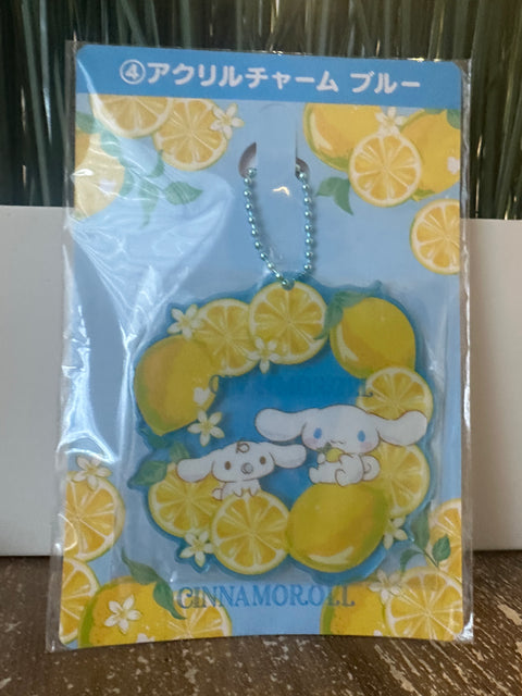 Second Chance - Cinna charm