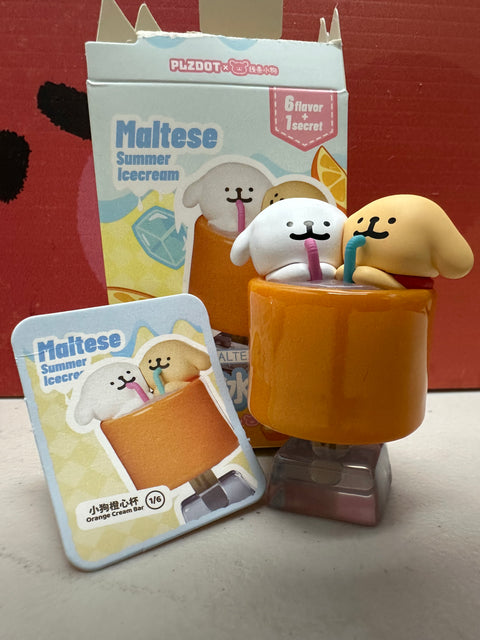 Sunday Claim Sale - Maltese Popsicle