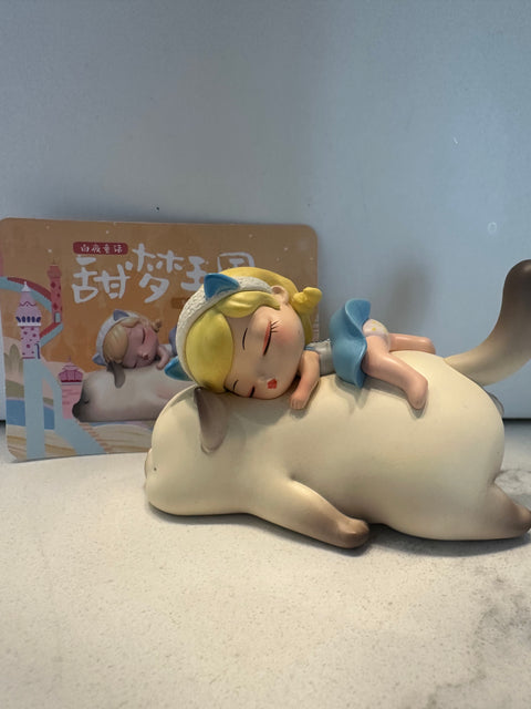 Sunday Claim Sale - Kemelife sleeping on her big kitty