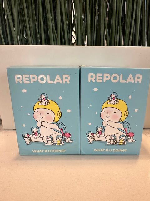 TDBF25 - Repolar blind box lot