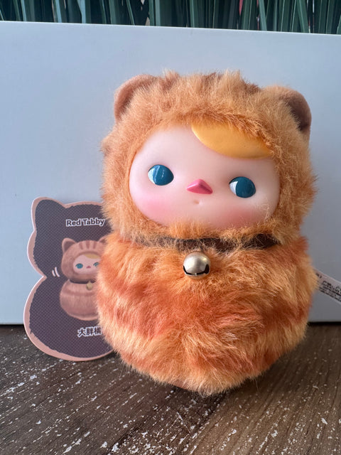 Sunday Claim Sale - Pucky big tumbler kitty