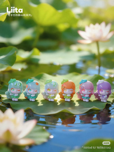 Liita the 24 Solar Terms Miniature Series