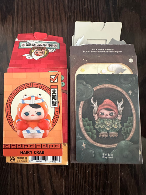 TDBF25 - Random Pucky