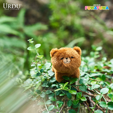 Urdu x FuwaFuwa Bear