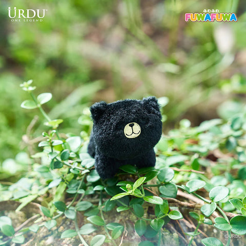 Urdu x FuwaFuwa Bear