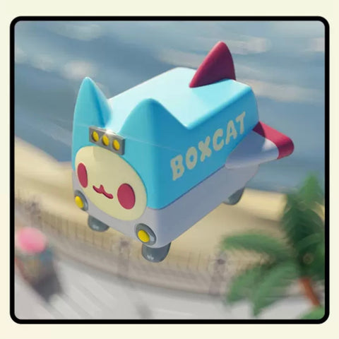 Box Cats Transport Series
