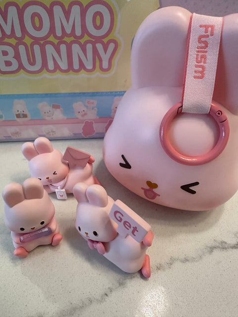 Momo Bunny's 24 Hour Lifestyle Miniature Series