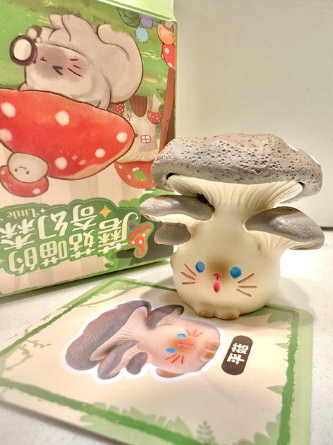 Sunday Claim Sale - Oyster Mushroom Kitty