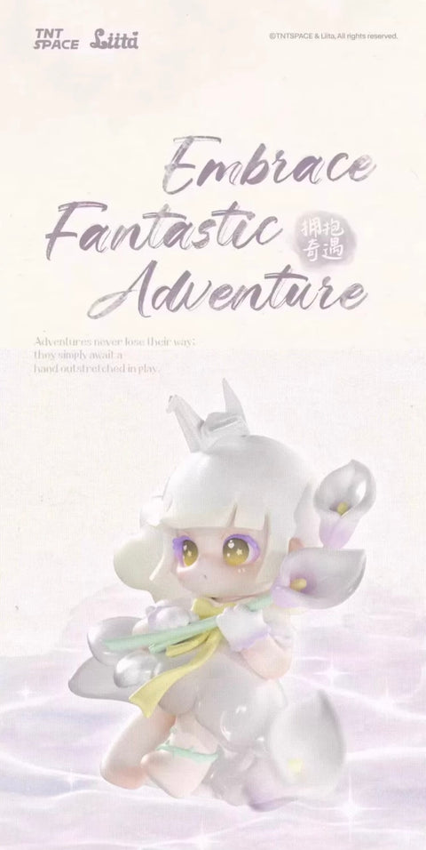 Liita Embrace Fantastic Adventure Blind Box Series