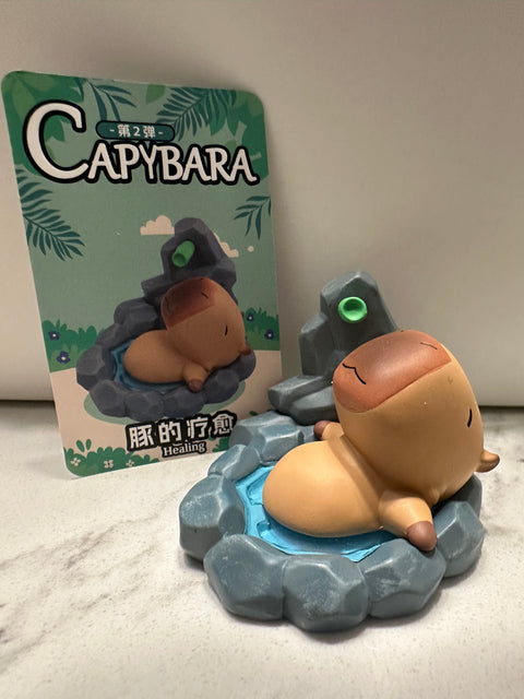 Sunday Claim Sale - Capybara is lounging