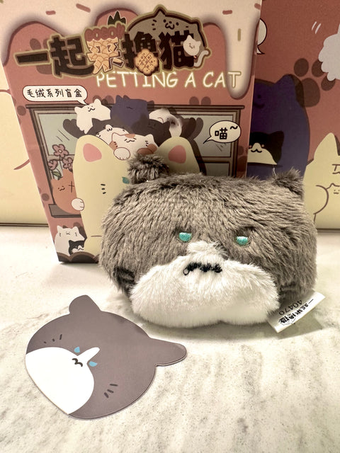 Petting a Cat Pocket Cats Plush Magnet Series