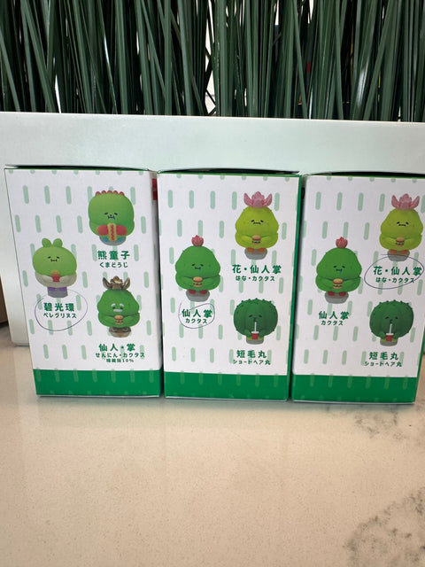 TDBF25 - Set of 3 jinart succulents