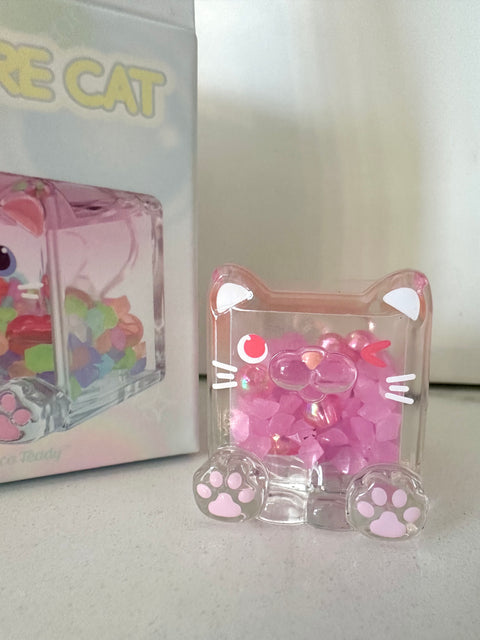 Sunday Claim Sale - Light up Midi ChocoTeddy Square Cat winking