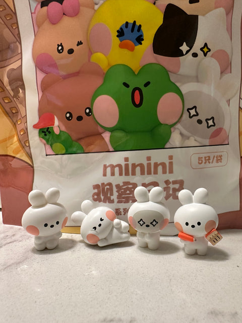 Minini Line Friends Miniature Blind Bag Series by HeyDolls