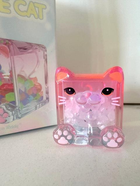 Sunday Claim Sale - Light up Midi ChocoTeddy Square Cat is Pissed Off