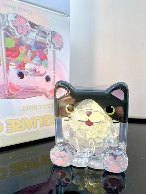 Sunday Claim Sale - Light Up MIDI Box Cat Black Cat