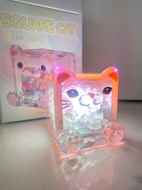 Sunday Claim Sale - Light up Midi ChocoTeddy Square Cat is Pissed Off
