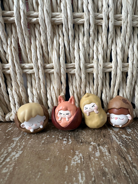 HeyDolls All Star Nuts Miniature Blind Bag Series