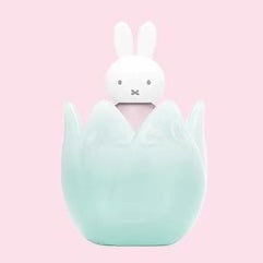 ChocoTeddy x Miffy and her Tulips Decorative Blind Box Series