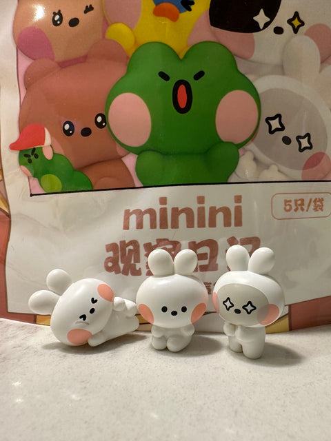 Minini Line Friends Miniature Blind Bag Series by HeyDolls