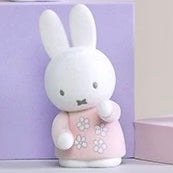 ChocoTeddy Miffy Holders Blind Box Series
