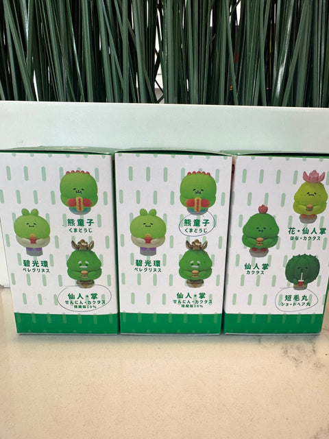 TDBF25 - Set of 3 jinart succulents