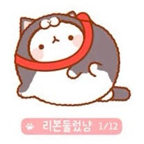 Molang Cat Cosplay Series